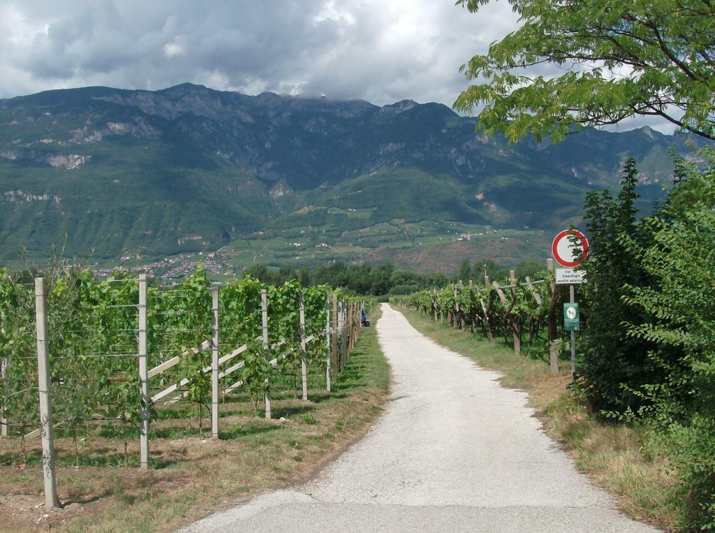 Gasthaus Pension Flora Ξενοδοχείο Ora / Auer Εξωτερικό φωτογραφία