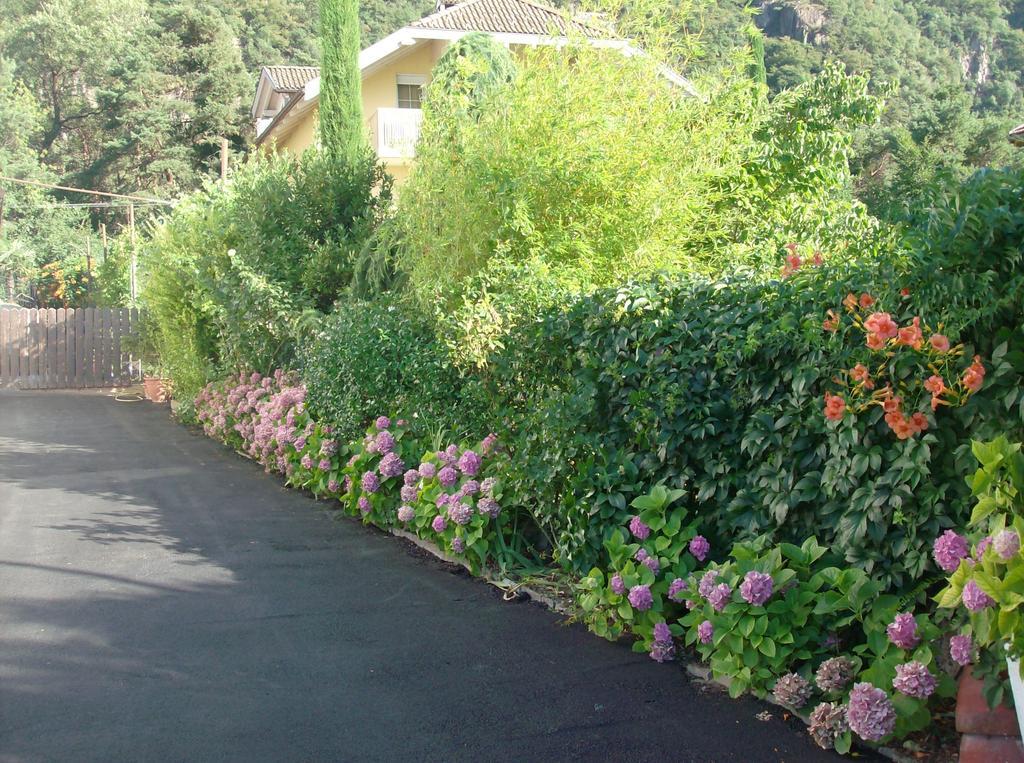 Gasthaus Pension Flora Ξενοδοχείο Ora / Auer Εξωτερικό φωτογραφία